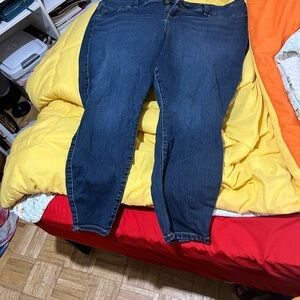 Torrid Indigo Skinny Jeans